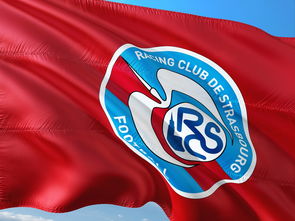 aoa体育培训-帕尔梅拉斯赛前战术会议，细节决定比赛胜负